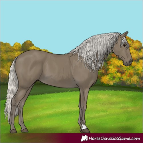 Horse Color:Silver Smoky Black 
