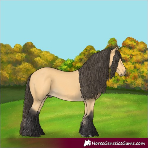 Horse Color:Buckskin 