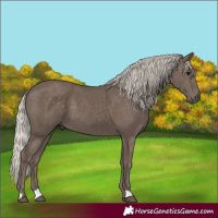 Horse Color:Silver Black 