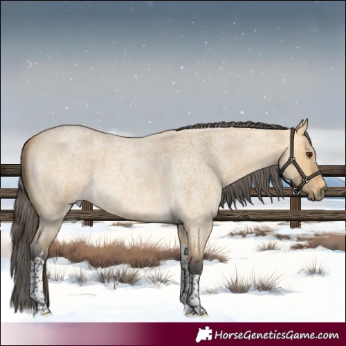 Horse Color:Buckskin Roan Dun Merle Tobiano 