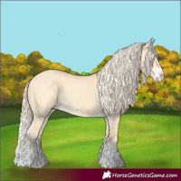 Horse Color:Palomino Dun Splash