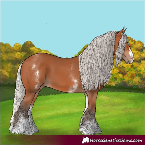 Horse Color:White Spotted Silver Bay Splash 