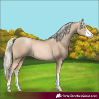 Horse Color:Chocolate Palomino Pearl 