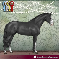Horse Color:Black Sabino