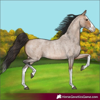 Horse Color:Bay Roan Dun Splash