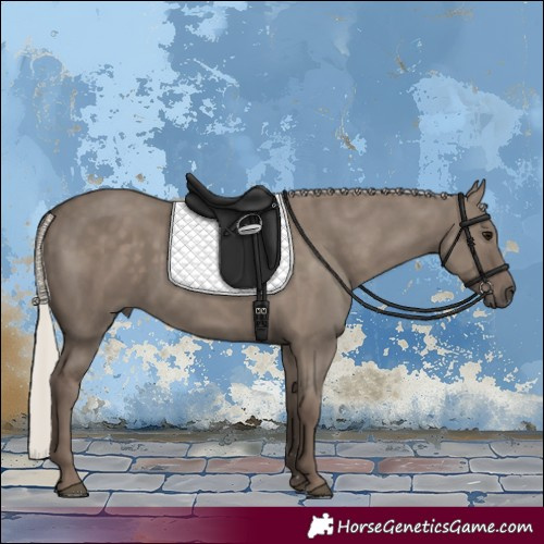 Horse Color:Silver Grullo 