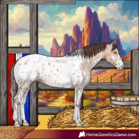 Horse Color:Amber Champagne Sabino Tobiano Blanket and Amber Champagne Sabino Tobiano Blanket