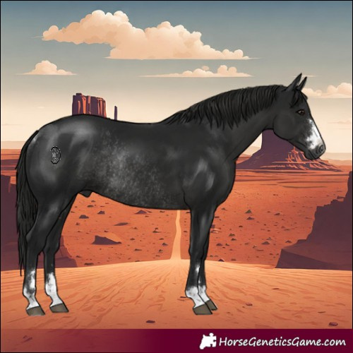 Horse Color:Gray Smoky Black Rabicano 