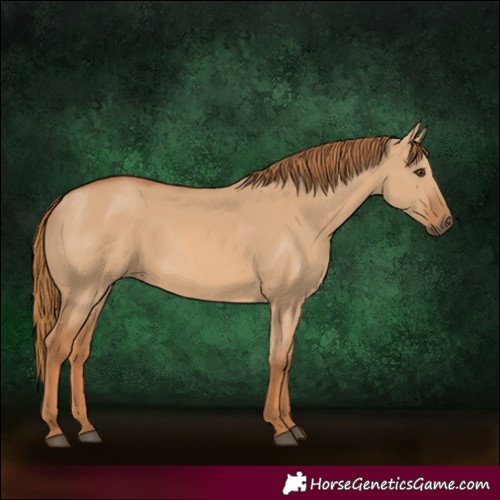 Horse Color:Red Dun 