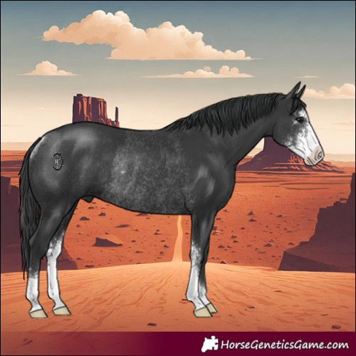 Horse Color:Black Sabino Rabicano 