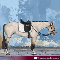 Horse Color:Bay Roan Dun 