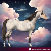 Horse Color:Bay Roan Dun 