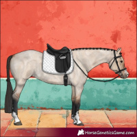 Horse Color:Bay Roan Dun 
