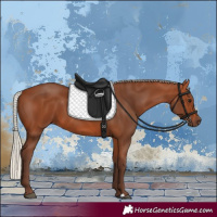 Horse Color:Silver Bay 