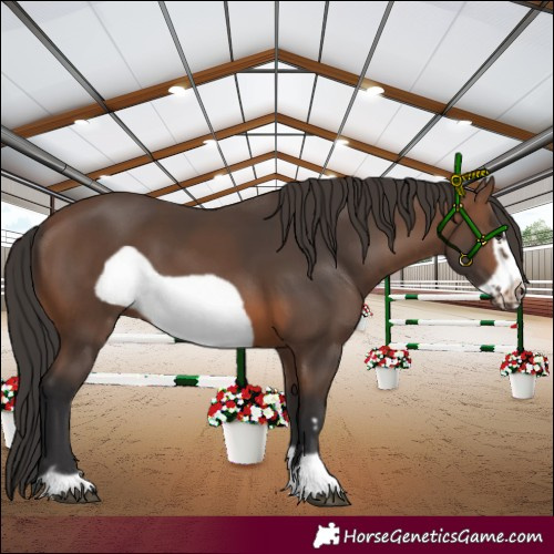Horse Color:Brown Frame 