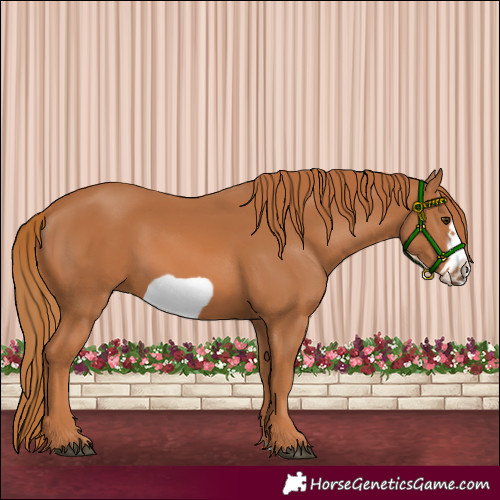 Horse Color:Chestnut Frame 
