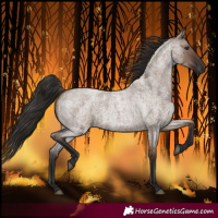 Horse Color:Liver Red Dun Roan Rabicano 