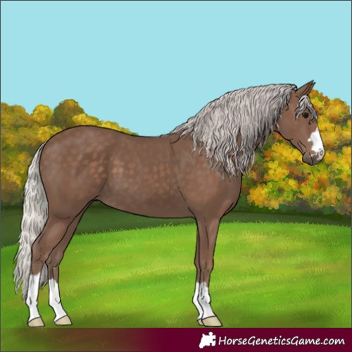 Horse Color:Silver Black 