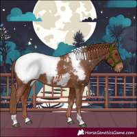 Horse Color:Chestnut Tobiano Snowcap