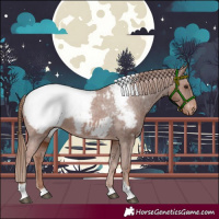 Horse Color:Chestnut Tobiano Snowcap 