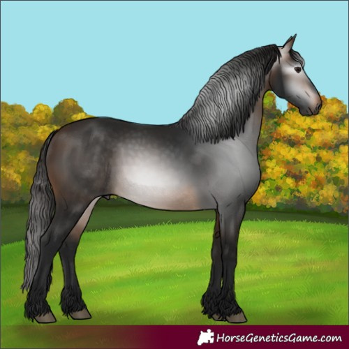 Horse Color:Gray Buckskin 