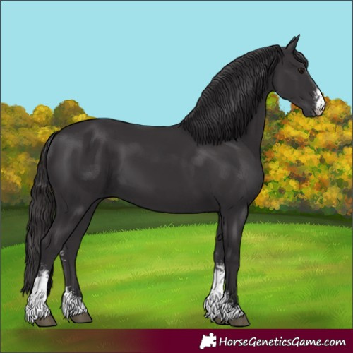 Horse Color:Smoky Black Sabino 