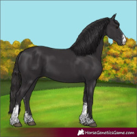 Horse Color:Smoky Black Sabino