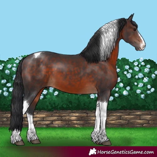 Horse Color:Brown Tobiano 