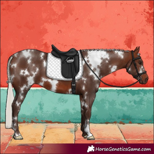 Horse Color:White Spotted Silver Brown 