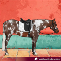 Horse Color:White Spotted Silver Brown 