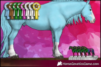 Horse Color:Watercolor Black 