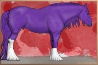 Horse Color:Watercolor Black 