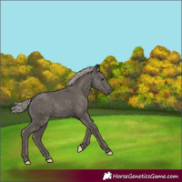 Horse Color:Silver Black 
