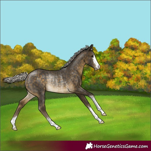 Horse Color:Silver Buckskin Varnish Rabicano 