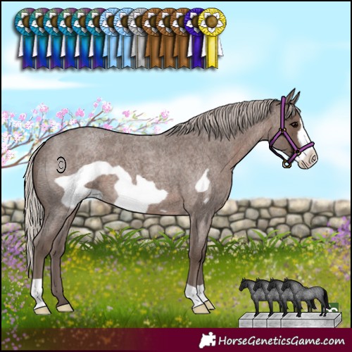 Horse Color:Silver Blue Roan Frame 