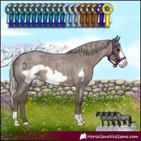 Horse Color:Silver Blue Roan Frame 