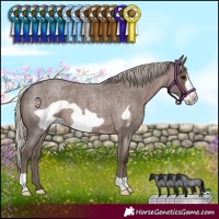 Horse Color:Silver Blue Roan Frame