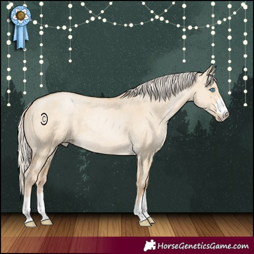 Horse Color:Silver Smoky Grullo Pearl 