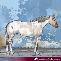 Horse Color:White Spotted Silver Brown Roan Dun 