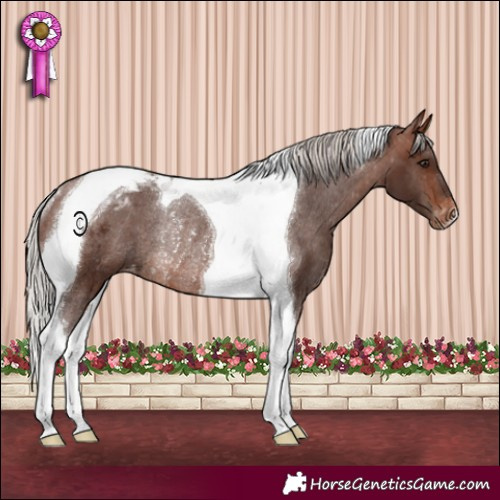 Horse Color:Silver Brown Tobiano Varnish Rabicano 