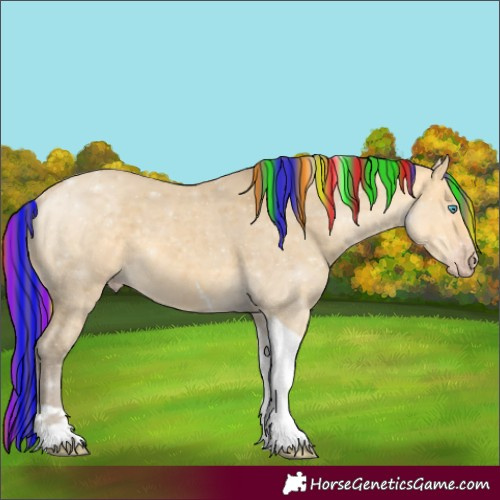 Horse Color:Painted Amber Cream Champagne Dun Merle Tobiano 