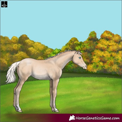 Horse Color:Silver Buckskin Pearl 