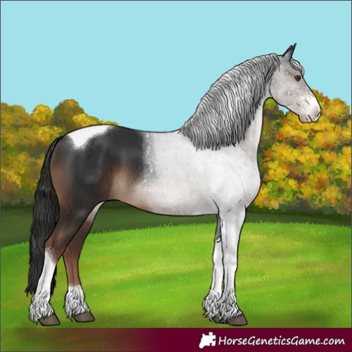 Horse Color:Liver Chestnut Sabino Tobiano 