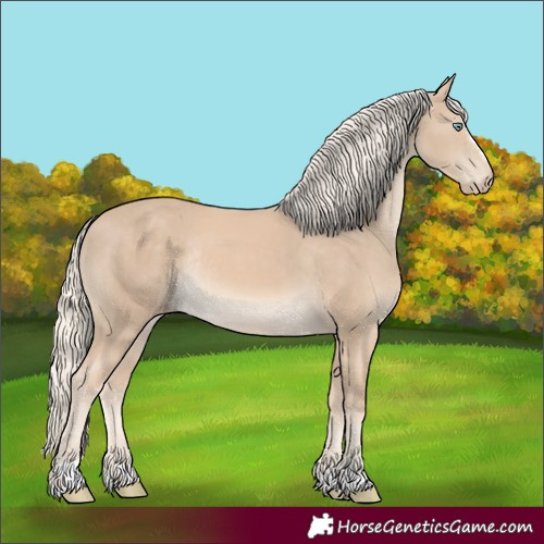 Horse Color:Cremello Rabicano 