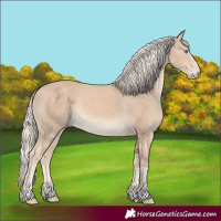 Horse Color:Cremello Rabicano
