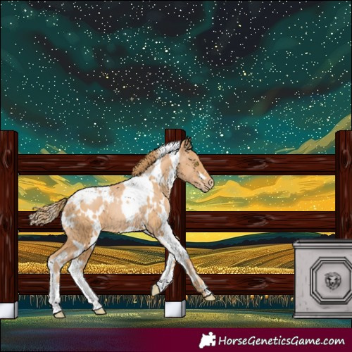 Horse Color:White Spotted Chestnut Pearl Varnish 