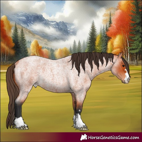 Horse Color:Bay Roan Rabicano 