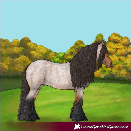 Horse Color:Bay Roan 