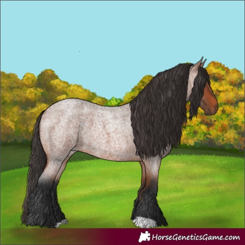 Horse Color:Bay Roan 