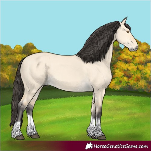 Horse Color:Buckskin Dun Tobiano 